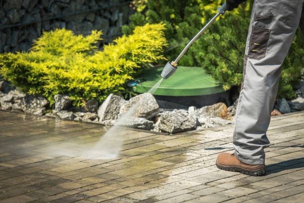 Best Brick and Stone Cleaning in Minden, NV